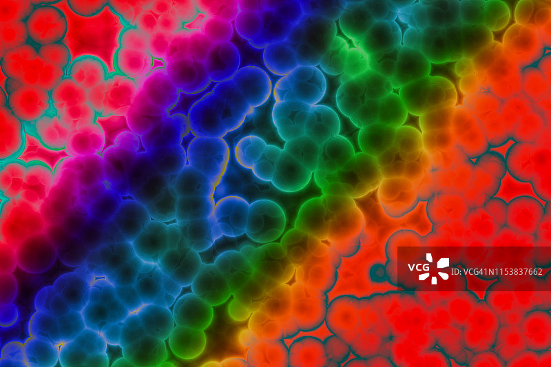 细菌细胞的形状：球菌，杆菌，螺旋菌图片素材