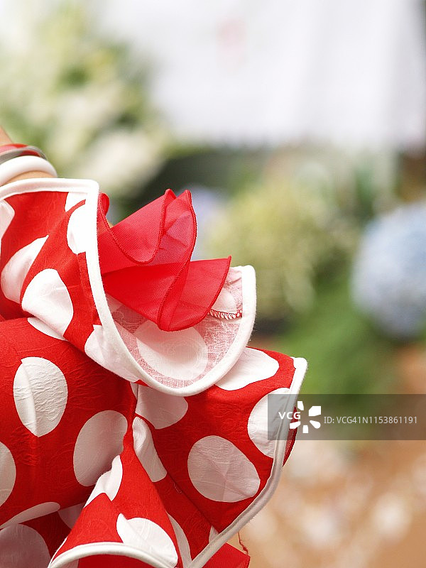 弗拉门戈连衣裙的细节图片素材