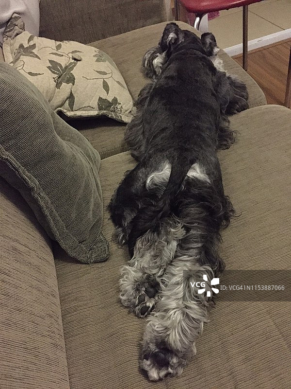 看这个姿势！图片素材