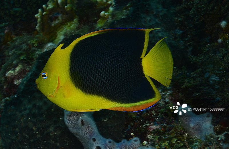 岩石之美图片素材