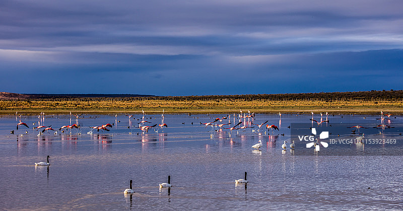 智利Torres del Paine国家公园图片素材