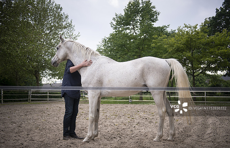 马术辅助指导：男人引导马倒退图片素材