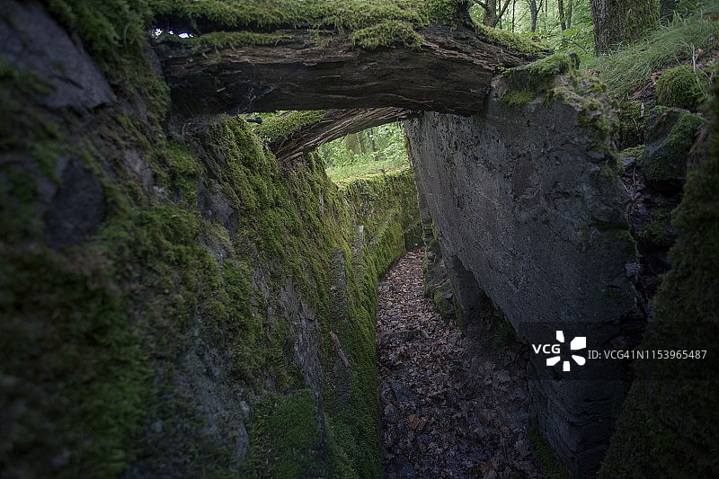 哈特曼斯维勒kopf图片素材