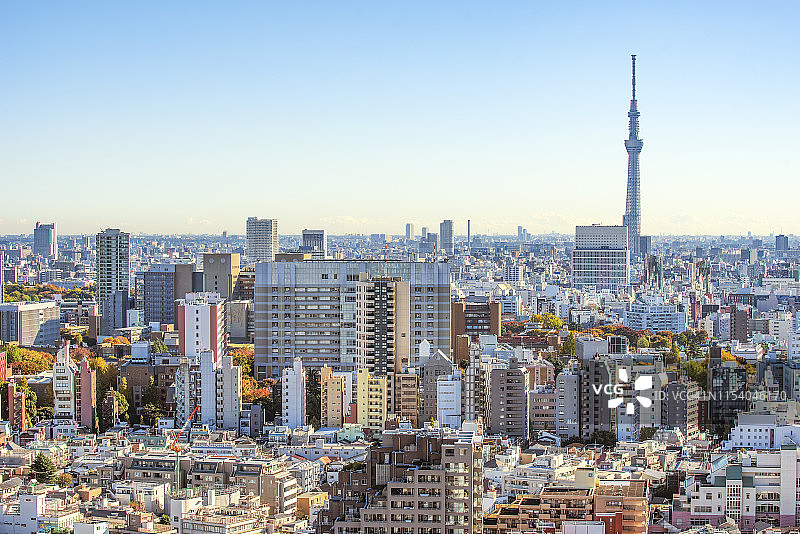 秋日下的东京晴空塔与摩天大楼图片素材