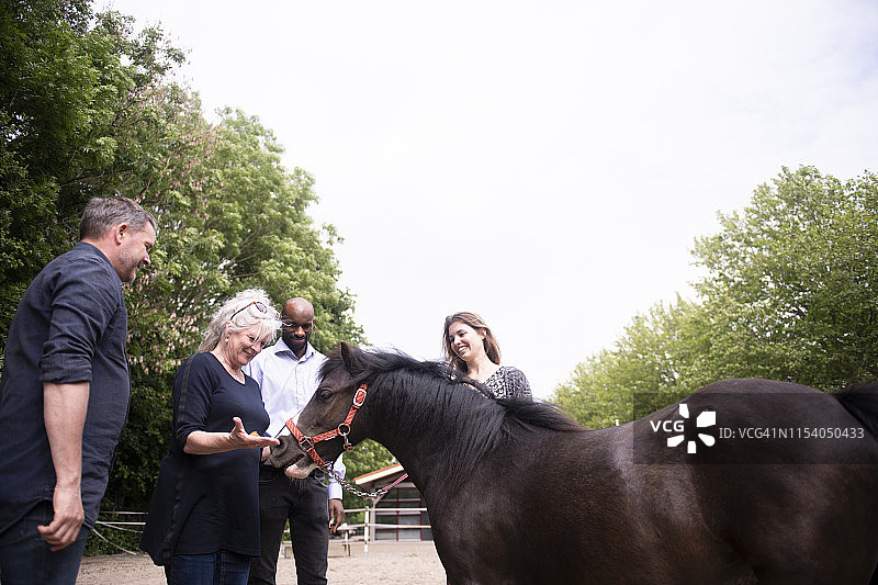 商务团队训练后给马喂零食图片素材