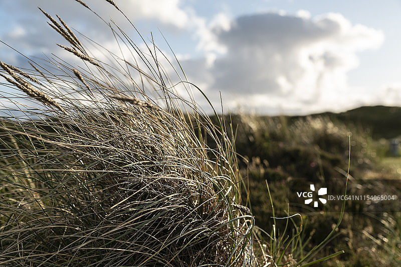 叙尔特岛上的沙丘景观图片素材