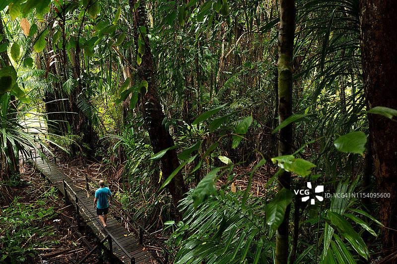 在热带雨林木板路上徒步的男性游客图片素材