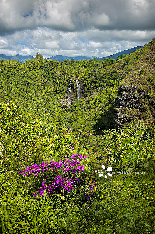 可爱岛奥帕卡阿瀑布，中国夏威夷图片素材