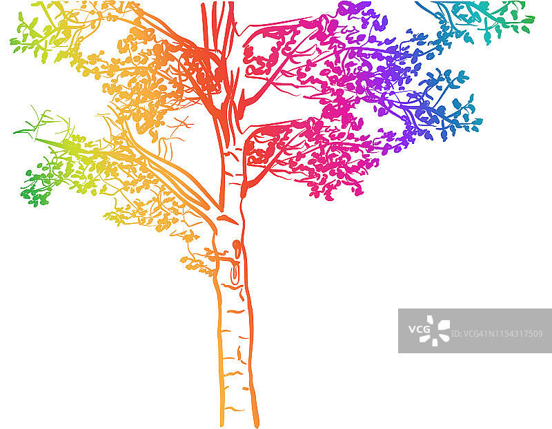 彩虹杨树画图片素材