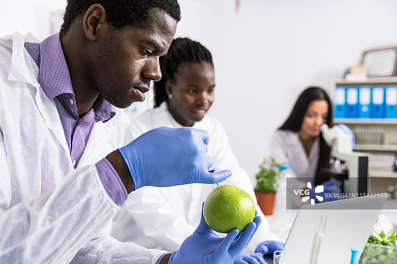 实验室技术员验证水果质量图片素材