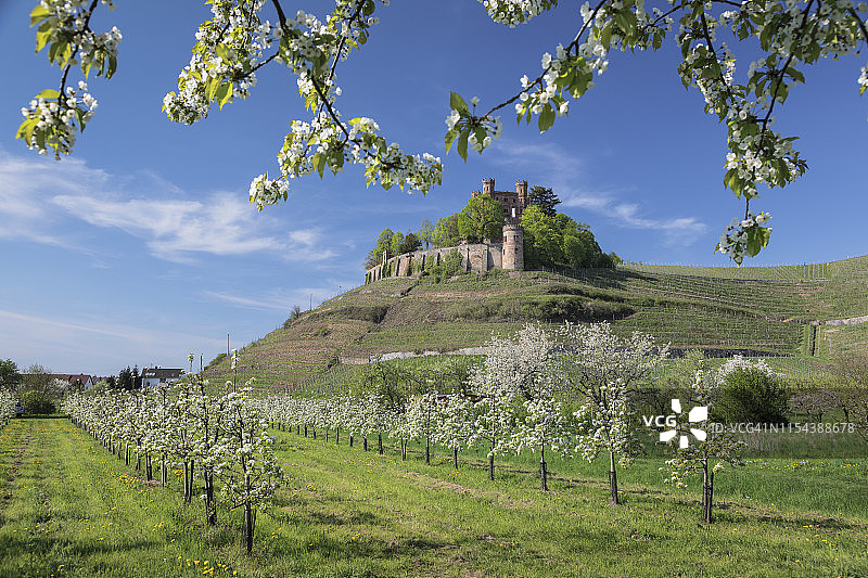 德国巴登-符腾堡黑森林奥芬堡，春季的奥尔滕贝格城堡图片素材
