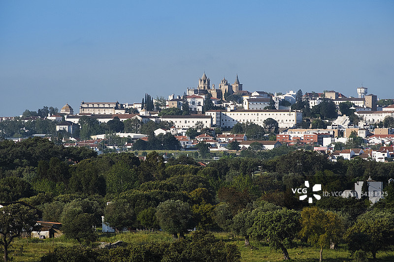 葡萄牙埃武拉市及软木橡树田景色图片素材