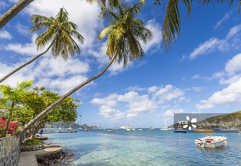 在圣文森特和格林纳丁斯贝基亚岛伊丽莎白港停泊的帆船图片素材