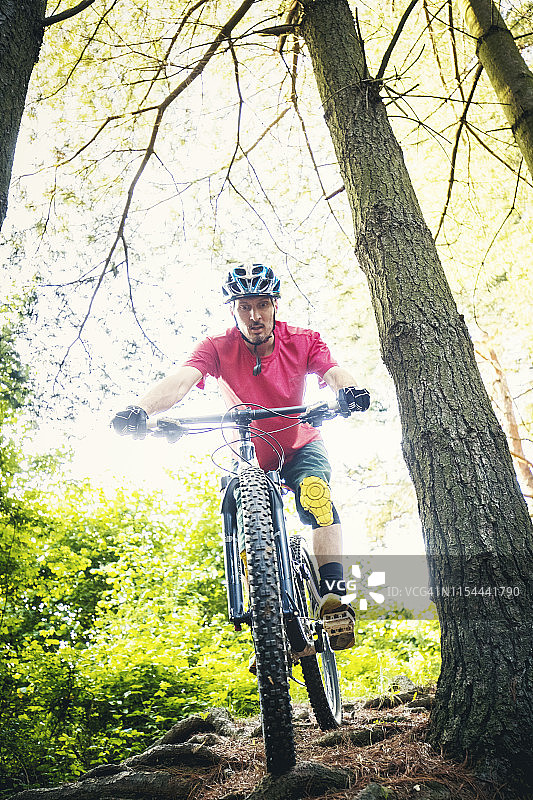 山地自行车手在森林的泥土小路上骑行图片素材