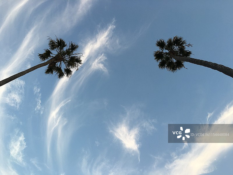 相对的手掌图片素材