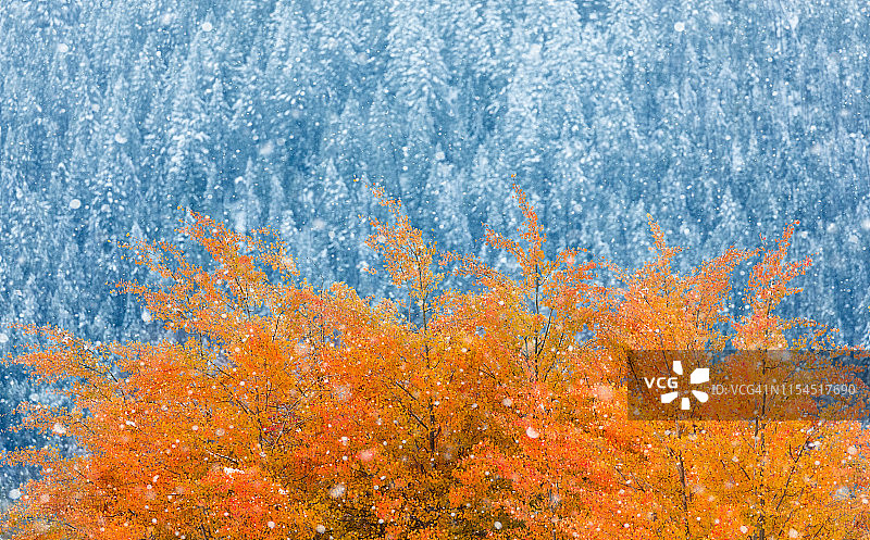 霜与火图片素材