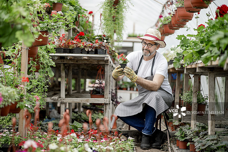 温室花艺师图片素材