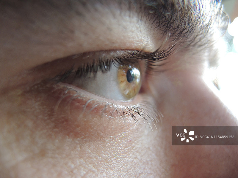 眼睛特写图片素材