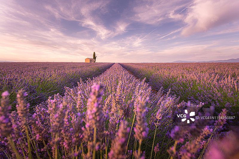 法国普罗旺斯瓦朗索勒的日落薰衣草田图片素材