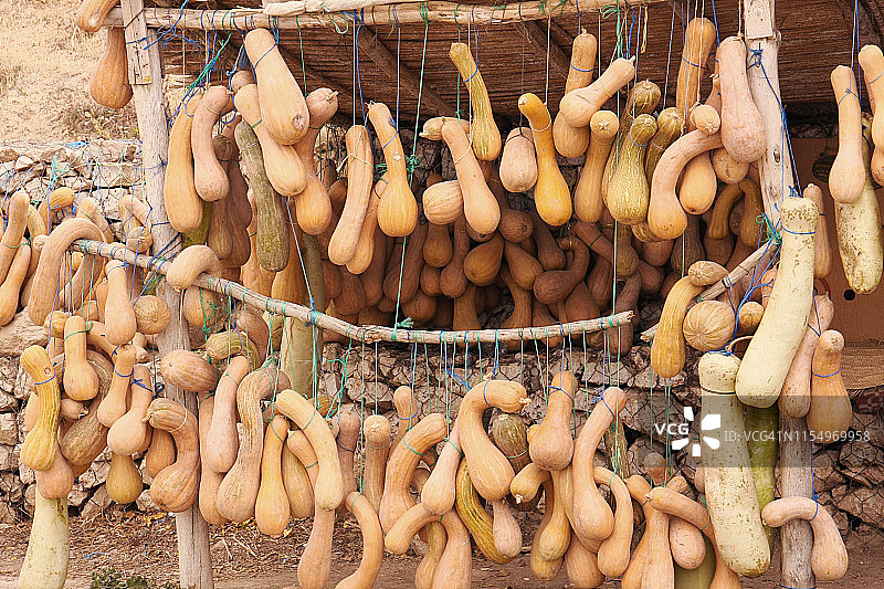 摩洛哥路边出售的各种大小的南瓜图片素材