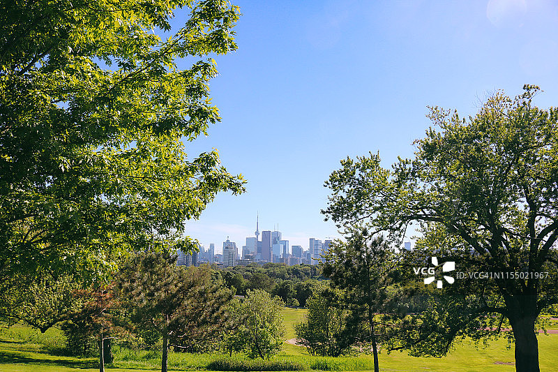 多伦多的绿色理念图片素材