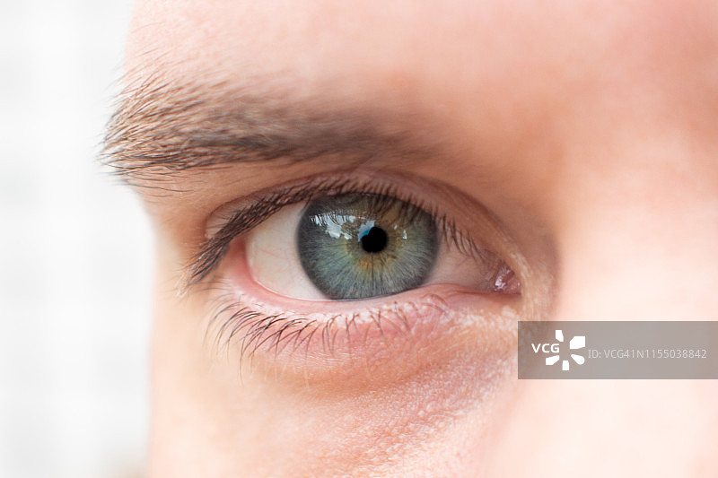 JMS Eye One图片素材