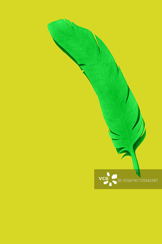 羽毛笔，彩色填充背景图片素材