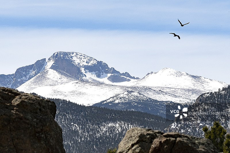 两只乌鸦飞越美国科罗拉多州落基山脉朗斯峰图片素材