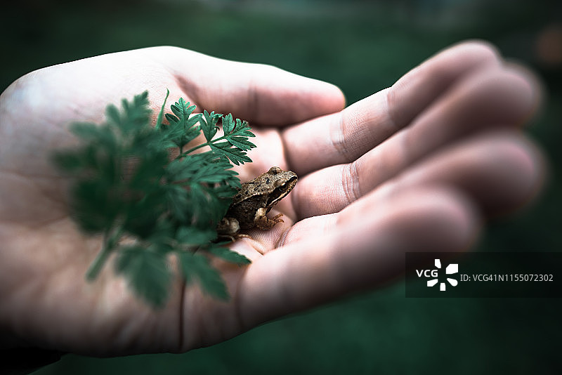 自然在你手中图片素材