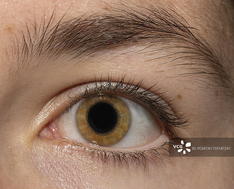 眼睛微距照片图片素材