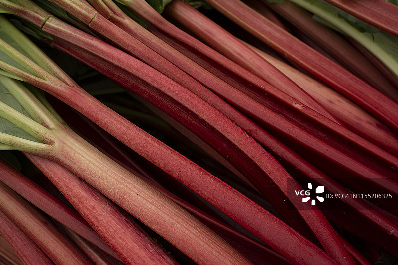 深红色大黄图片素材