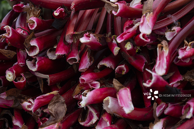 深红色大黄图片素材