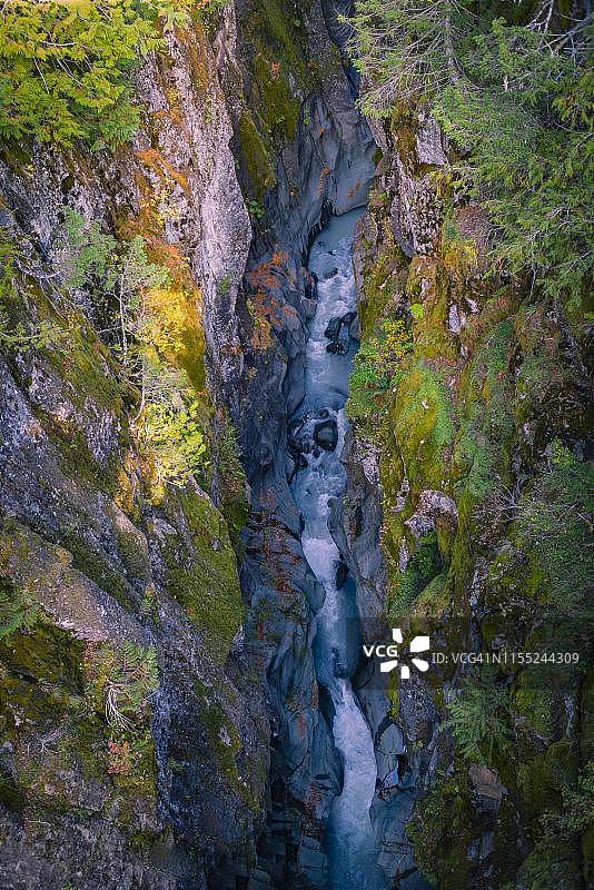 史蒂文斯峡谷，野生河流流经深邃的峡谷，美国华盛顿雷尼尔山国家公园图片素材