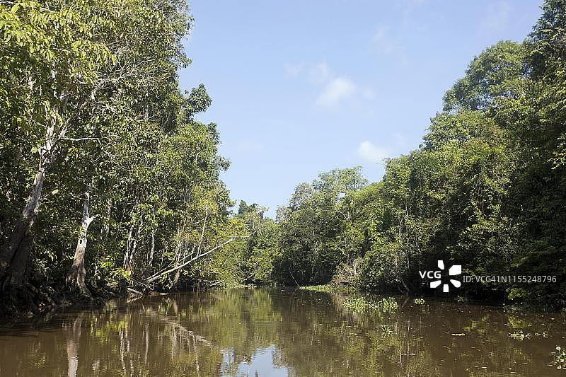 京那巴当岸河的死水潭，位于马来西亚沙巴州婆罗洲图片素材