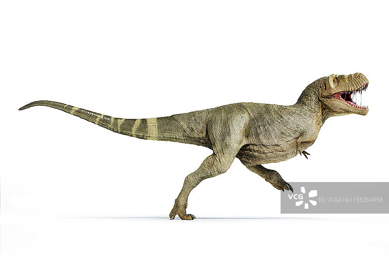 霸王龙插画图片素材