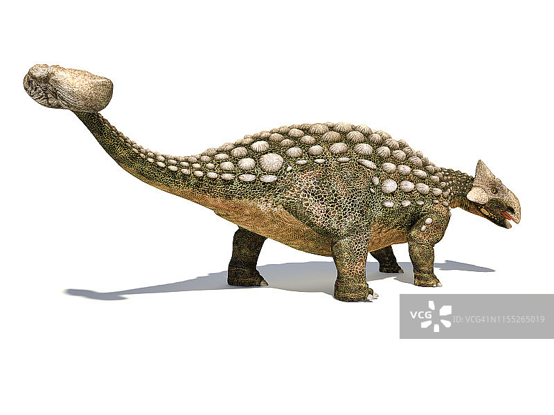 甲龙恐龙插画图片素材