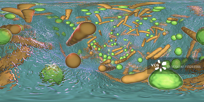 生物膜中的细菌图片素材
