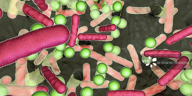 生物膜中的细菌图片素材