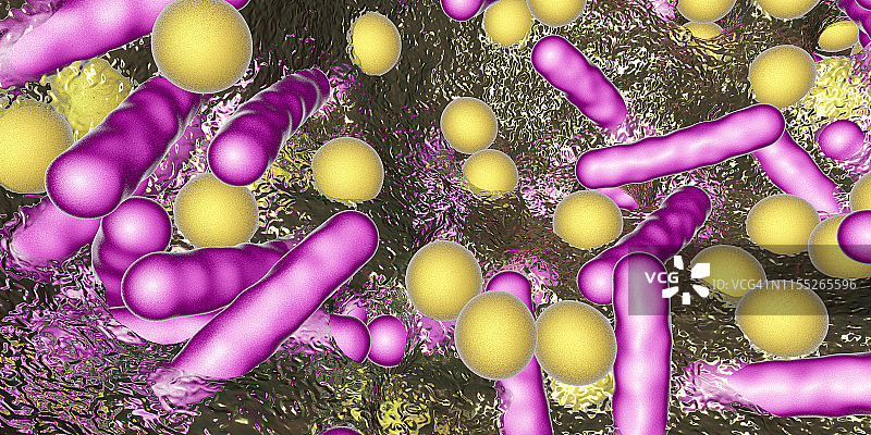 生物膜中的细菌图片素材