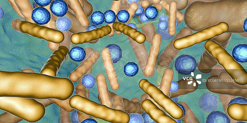 生物膜中的细菌图片素材