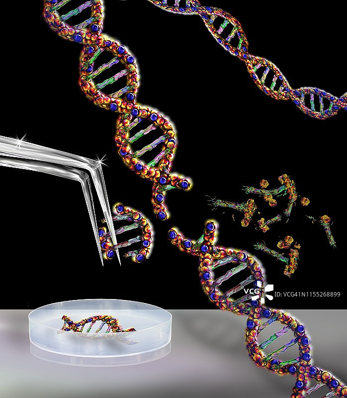 基因工程概念插图图片素材