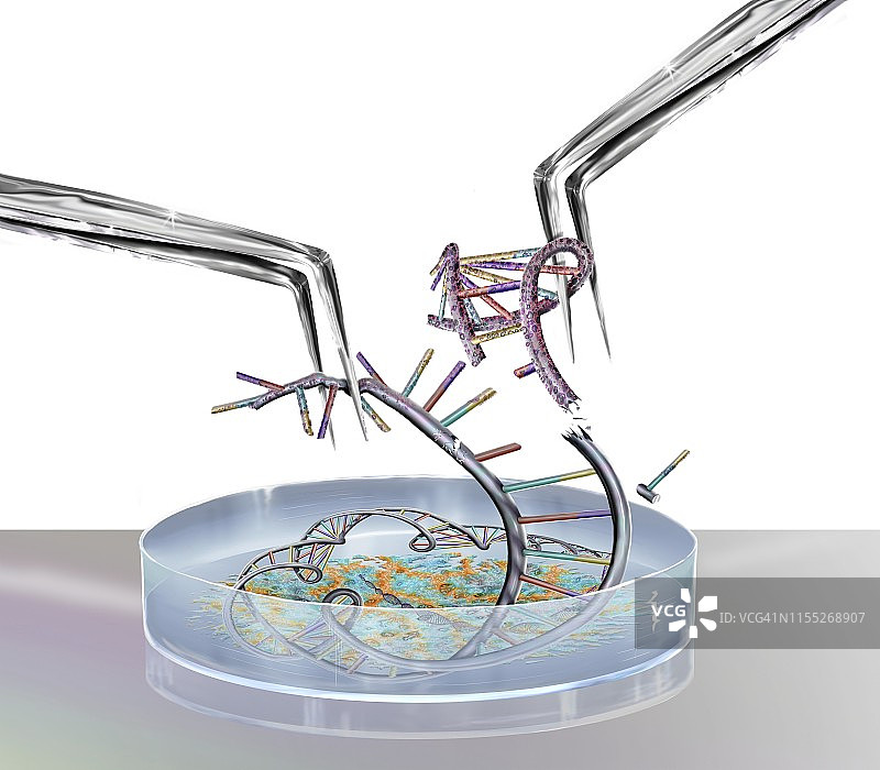 基因工程概念插图图片素材