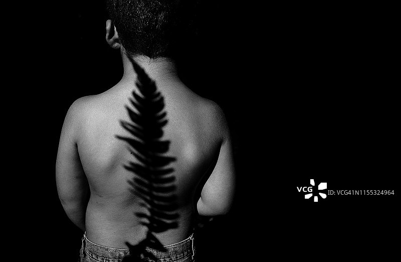 森林中的男孩后视图图片素材