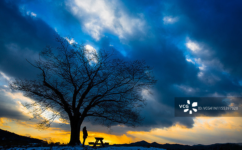 韩国和顺的迷人景色和爱情树图片素材