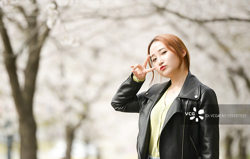 韩国牙山樱花与朝鲜族女人图片素材