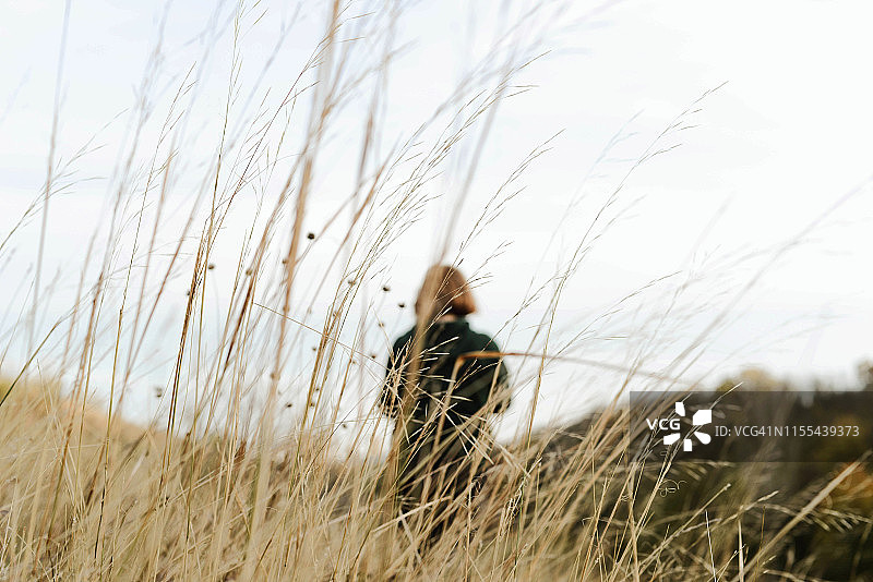 秋日阳光下女人的背影图片素材