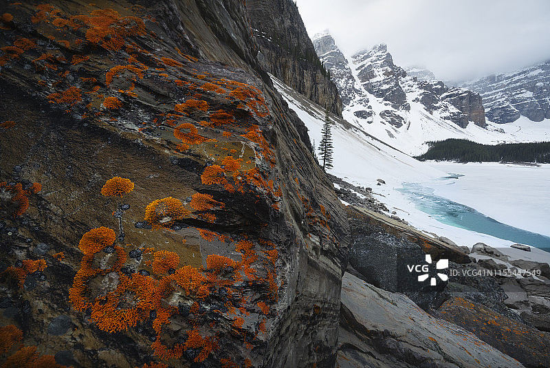 加拿大艾伯塔省班夫国家公园梦莲湖边的岩石上的地衣图片素材