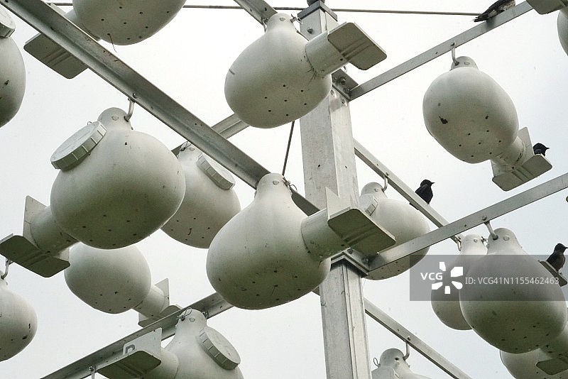 鸟的房子图片素材