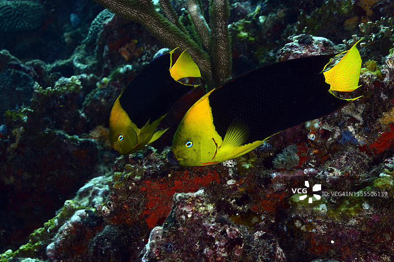 岩石之美图片素材