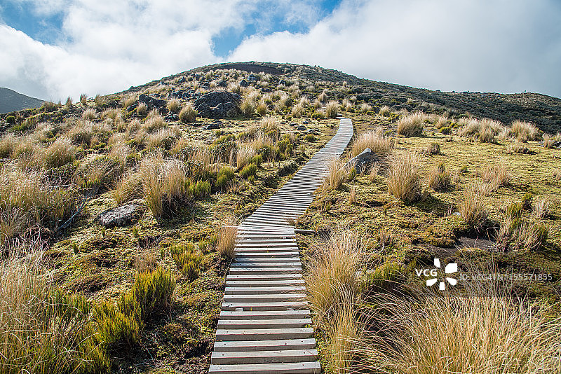 新西兰埃格蒙特国家公园Pouakai环线的步道图片素材